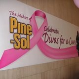 Pine-Sol Salutes Divas For A Cure